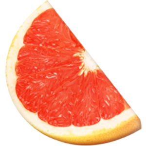 Grapefruit PNG-15262